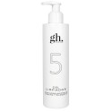 Gh 5 gel limpiador 250ml