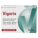 Vigorix 90 caps