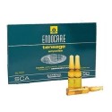 Endocare tensage ampollas 2 ml 10 amp